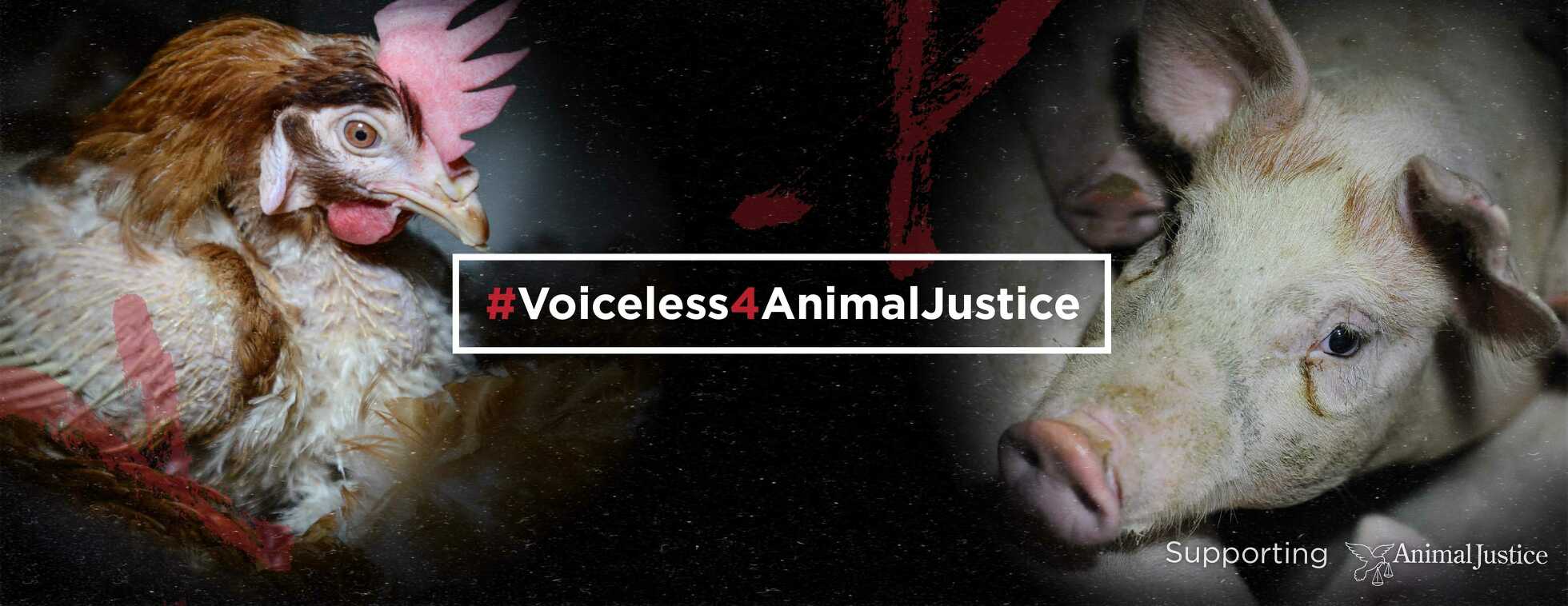 #Voiceless4AnimalJustice 2020